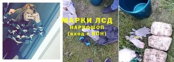 СК Богородск
