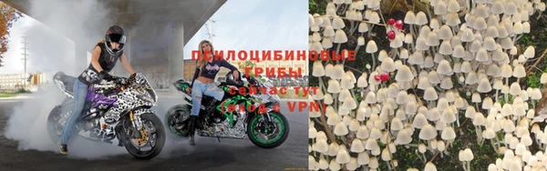 твердый Богородицк